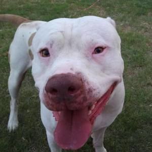 Meet your Posher, Mimi